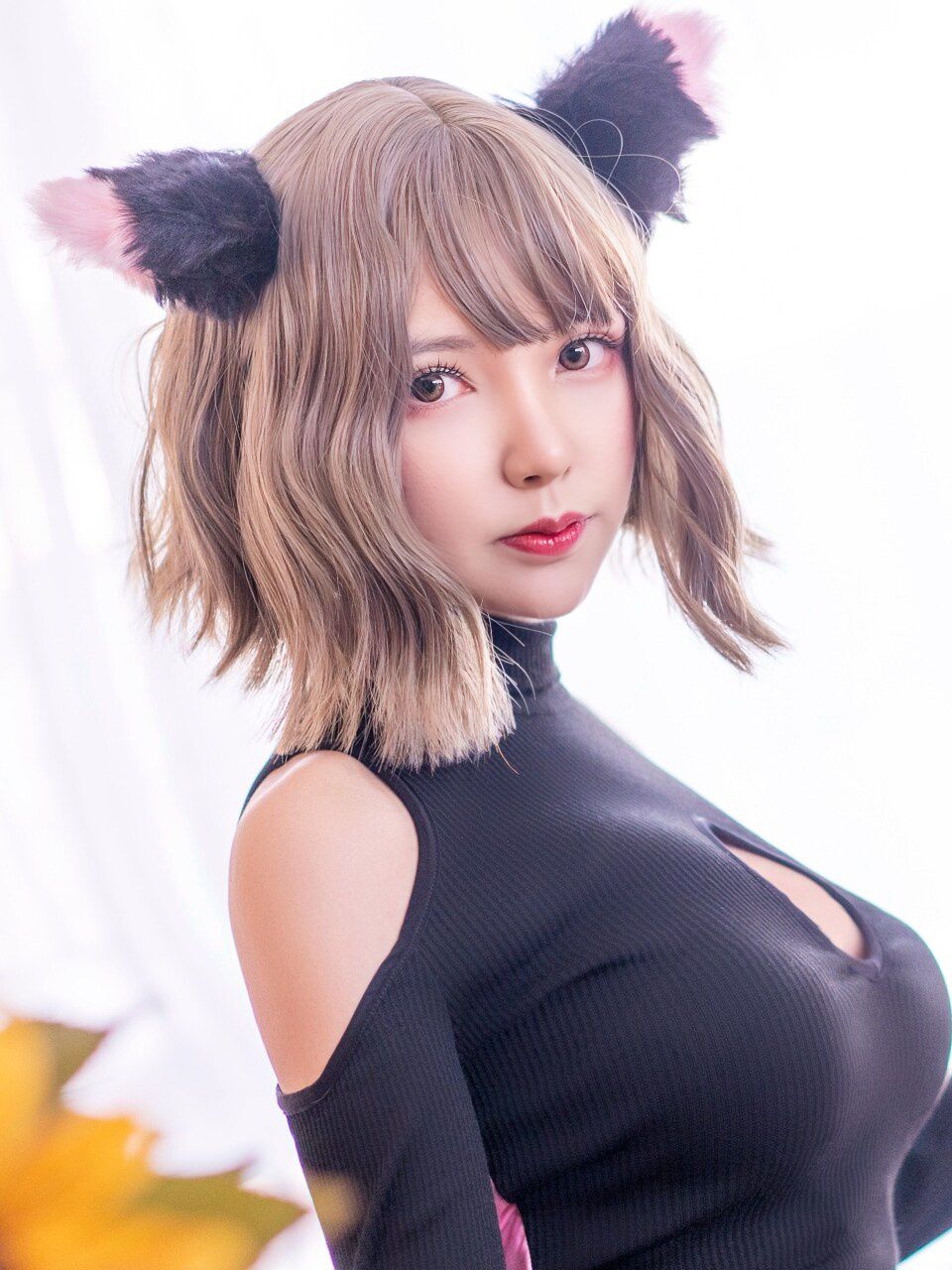 「摄影博主」小何童鞋作品 – 黑白猫