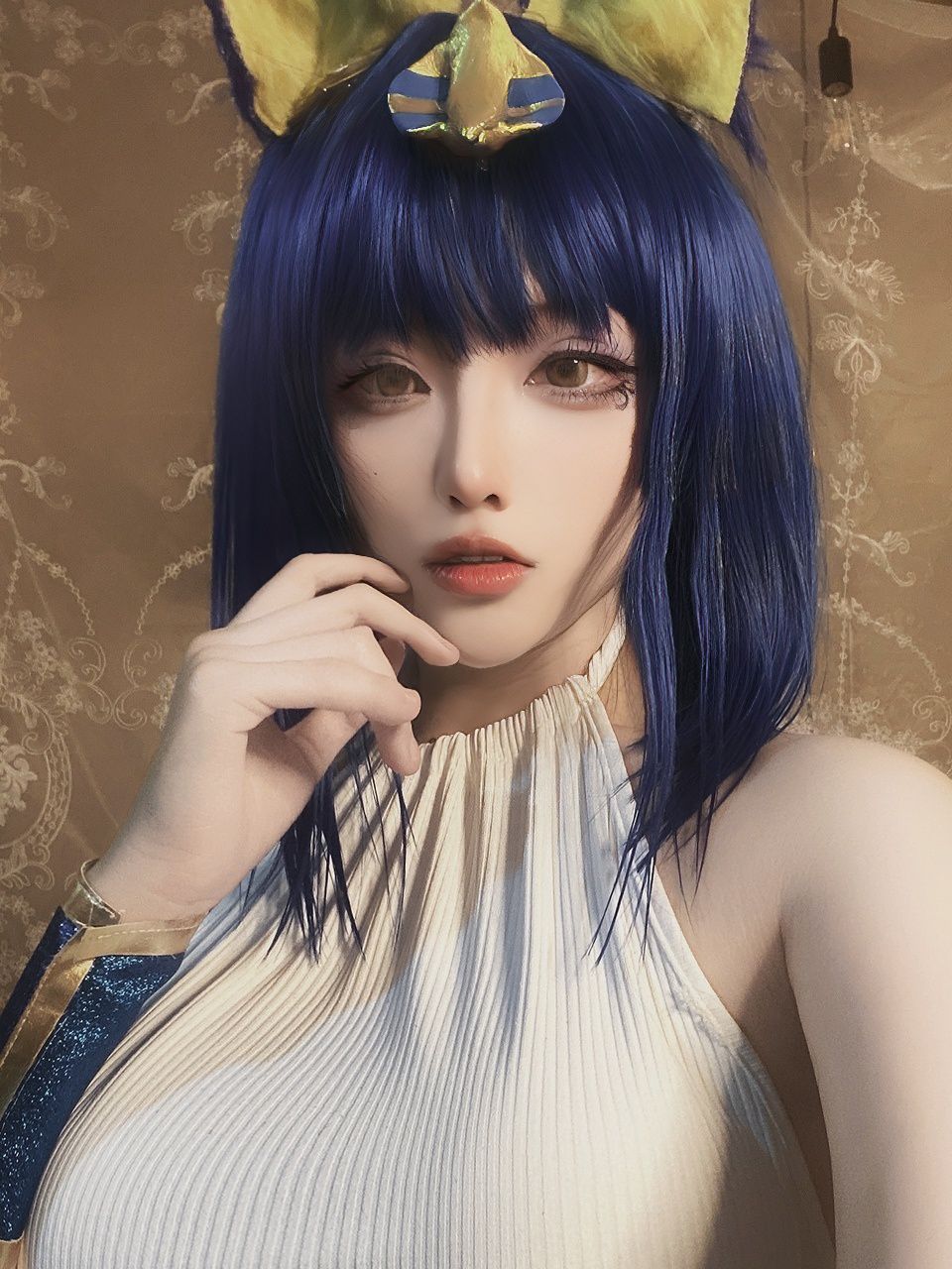  起司块wii 埃及猫